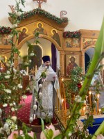 Вербное воскресение 